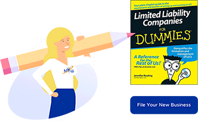 LLCs for dummies book